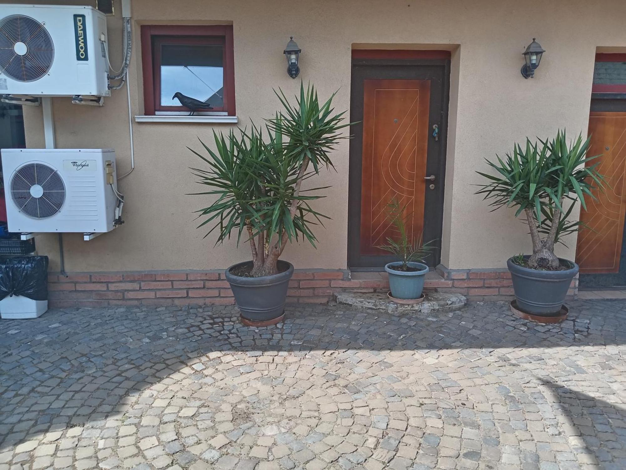 Brique Jobb Mint Othon Apartman ハイデゥソボスロー エクステリア 写真